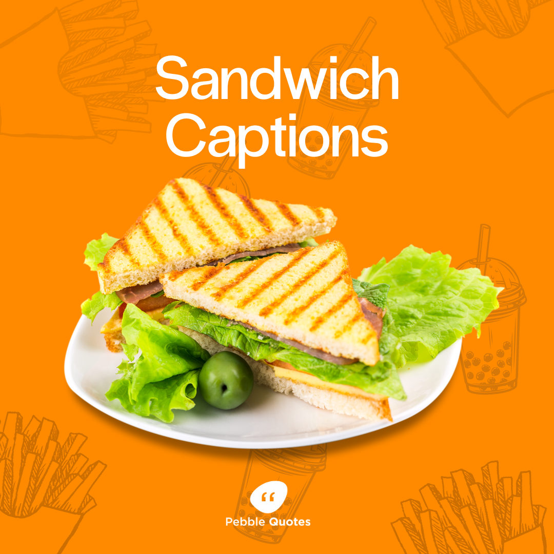 Sandwich Captions